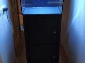 Fluval Flex 57 litrų akvariumas - nuotraukos Nr. 4