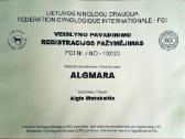 Patinas kergimui - nuotraukos Nr. 6