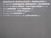 Kalbos patarimų informacinis biuletenis 14 - nuotraukos Nr. 4