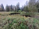 Tvenkinių kasimas,griovimo darbai,kiti žemėsdarbai - nuotraukos Nr. 4