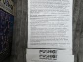 Magiškas kamuolys Fushigi - nuotraukos Nr. 3