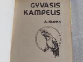 Gyvasis kampelis - nuotraukos Nr. 2