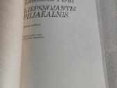 Liepsnojantis piliakalnis - nuotraukos Nr. 2