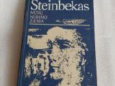 Mūsų nerimo žiema
