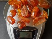 Gintaras 158g.