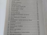 Kelionė Šventojo Rašto puslapiais - nuotraukos Nr. 3