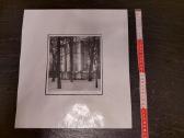 Arūno Baltėno fotografijos - nuotraukos Nr. 5