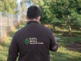 Parduodame juodąsias pušis nuo 2 iki 6 metrų - nuotraukos Nr. 13