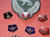 Geležinio vilko ansiūvas ir specialybių ženkliukai
