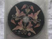 Dvd Pink Floyd muzika. - nuotraukos Nr. 4