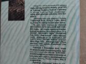 Ivlinas Vo-numylėtinė. Dulkių sauja - nuotraukos Nr. 2