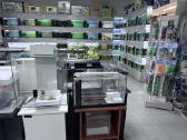 Akvariuminės žuvys, augalai, visa reikiama įranga - nuotraukos Nr. 2