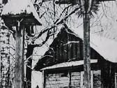 Dainavos kraštas - nuotraukos Nr. 12