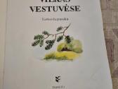 Vilkas vestuvėse - nuotraukos Nr. 3