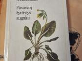 Pavasarį žydintys augalai