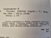Pavasarį žydintys augalai - nuotraukos Nr. 4