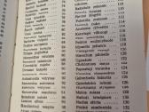 Pavasarį žydintys augalai - nuotraukos Nr. 8