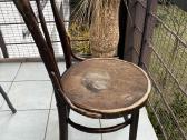 2- i Thonet antikvarinės tvirtos kėdės po 100 Eur - nuotraukos Nr. 4