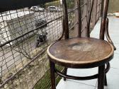 2- i Thonet antikvarinės tvirtos kėdės po 100 Eur