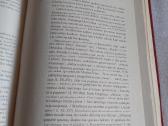 Literatūros simbolių žodynas - nuotraukos Nr. 5
