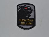 Plechaviciaus spec.kariai