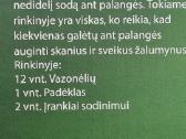 Daiginimo rinkinys - nuotraukos Nr. 5