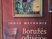 Jonas Mackonis ( tapytojas ) - Boružės odisėjos