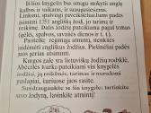 1351 Angliškas žodis ir mažiems , ir dideliems - nuotraukos Nr. 3