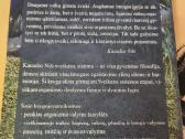 Organizmo valymo taisyklės - nuotraukos Nr. 9