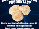 Liūto karčiai (lions Mane) 100% grynas, 60 kaps - nuotraukos Nr. 2