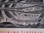 Grafika -gyvenimo žingsniai