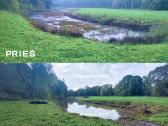 Pakrančių tvarkymas,nendrių pjovimas,šaknų rovimas - nuotraukos Nr. 5