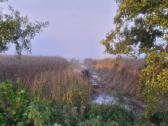 Pakrančių tvarkymas,nendrių pjovimas,šaknų rovimas - nuotraukos Nr. 12