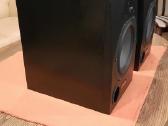 Adam Audio P11a Studio Monitor - nuotraukos Nr. 2