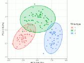 Statistika, hipotezių tikrinimas, mokymai - nuotraukos Nr. 7