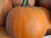 Helloween moliūgai - nuotraukos Nr. 4