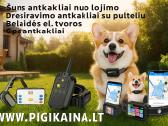 Elektrinis dresiravimo antkaklis Trims šuniukams