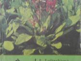 Flora - nuotraukos Nr. 7
