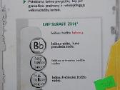 Pradinuko anglų kalbos žodynas - nuotraukos Nr. 5