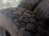 395/85r20 padangos