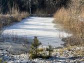 Aplinkos Tvarkymas - nuotraukos Nr. 7