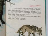 Lapės gyvenimas ir mirtis. V. Pietaris - nuotraukos Nr. 3