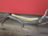 Sienos dekoracija Elnio ragas 80cm - nuotraukos Nr. 2