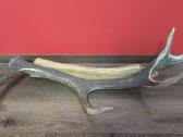 Sienos dekoracija Elnio ragas 80cm - nuotraukos Nr. 3