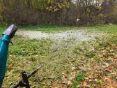 Kelmų frezavimas, naikinimas. Šakų smulkintuvas - nuotraukos Nr. 15