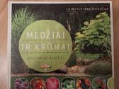 Medžiai ir krūmai aplinkai puošti.