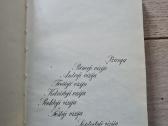 Regėjimų naktis. Vytauto Mačernio gyvenimas - nuotraukos Nr. 4