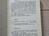 Regėjimų naktis. Vytauto Mačernio gyvenimas - nuotraukos Nr. 5