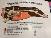 Sendaikciai - nuotraukos Nr. 14