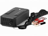 Kepworth Lifepo4 akumuliatoriai 12/24v 30-300ah - nuotraukos Nr. 15